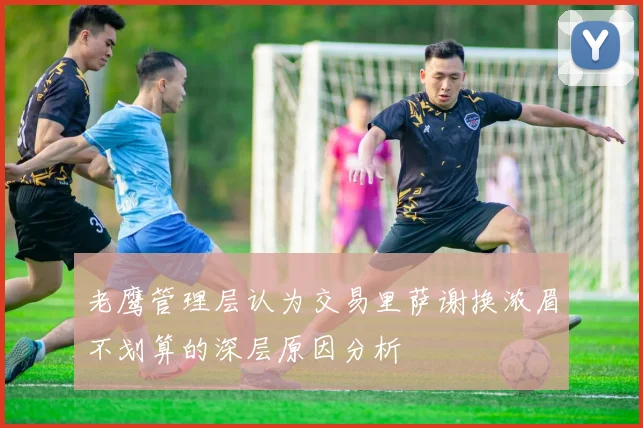 老鹰管理层认为交易里萨谢换浓眉不划算的深层原因分析