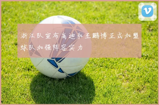 浙江队宣布高迪和王鹏博正式加盟球队加强阵容实力