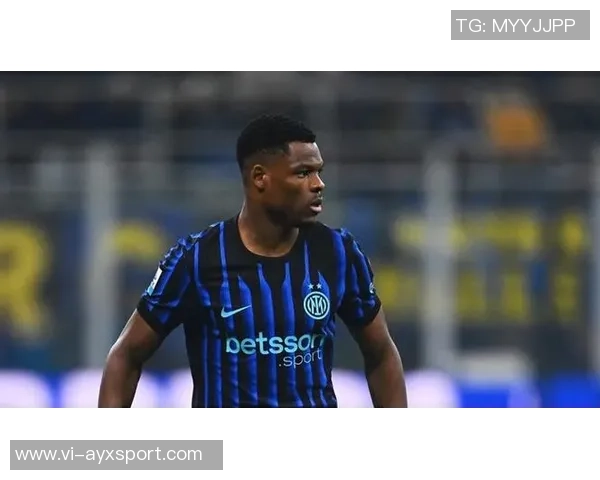 国米确认邓弗里斯伤势轻微球员明日回意大利进行理疗 国米确认邓弗里斯伤势轻微球员明日回意大利进行理疗